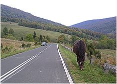 Fotogaleria Tarnica Jeziorka Tworylne