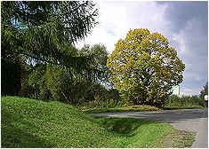 Fotogaleria Tarnica Jeziorka Tworylne