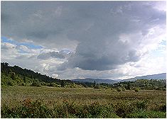 Fotogaleria Tarnica Jeziorka Tworylne