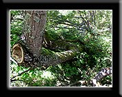 Fotogaleria Tarnica Jeziorka Tworylne