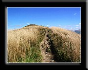 Fotogaleria Tarnica Jeziorka Tworylne