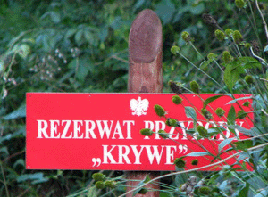 Dobry Widoczek - Bieszczady