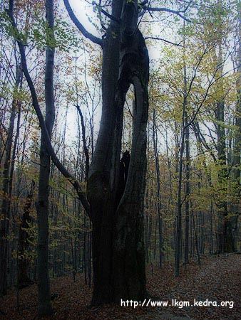 Bieszczadzkie fotografie, cerkwie, szczyty, widoczki