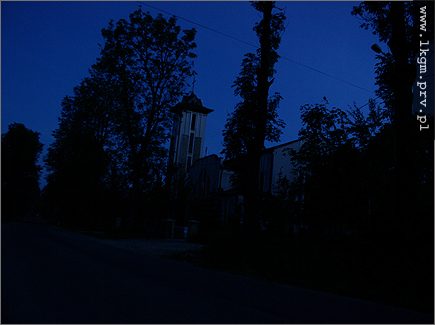 Koci