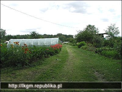 Cerkiew Bieszczadzkie Szlaki, Kirkut, Polonina