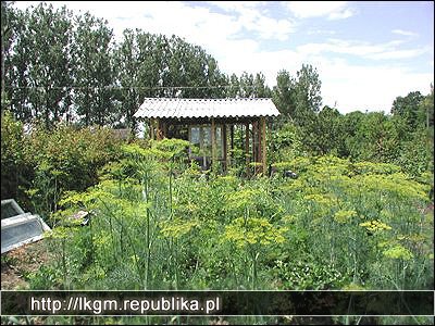 Cerkiew Bieszczadzkie Szlaki, Kirkut, Polonina