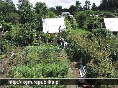 Cerkiew Bieszczadzkie Szlaki, Kirkut, Polonina