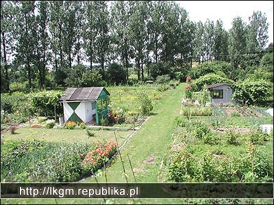 Cerkiew Bieszczadzkie Szlaki, Kirkut, Polonina