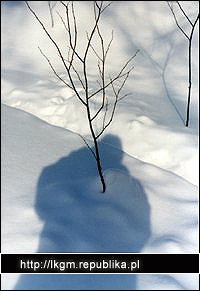 Cerkiew Bieszczadzkie Szlaki, Kirkut, Polonina