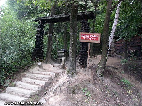 Fotogaleria Tarnica Jeziorka Tworylne