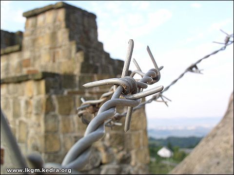 Fotogaleria Tarnica Jeziorka Tworylne