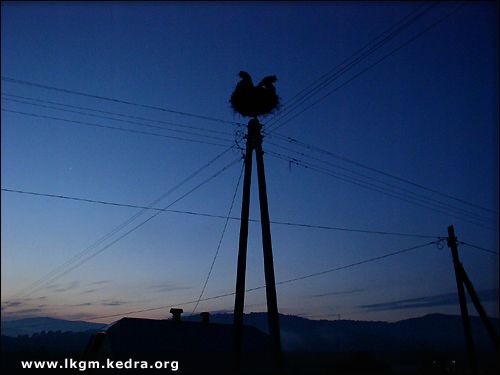 Fotogaleria Tarnica Jeziorka Tworylne