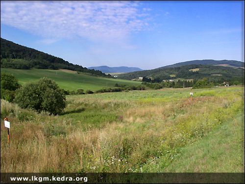 Fotogaleria Tarnica Jeziorka Tworylne